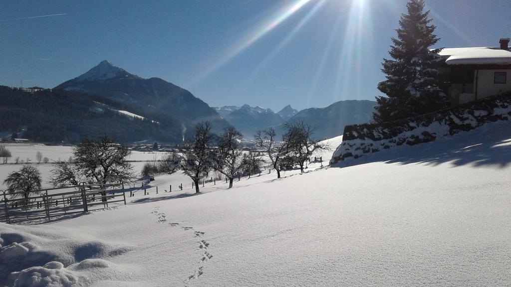 Oberfischergut Flachau Buitenkant foto