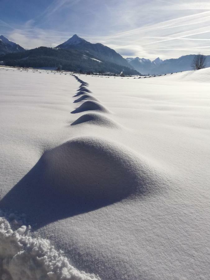 Oberfischergut Flachau Buitenkant foto
